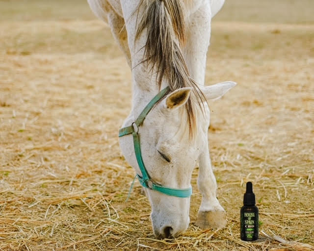 2,000mg CBD Tincture - Image 4