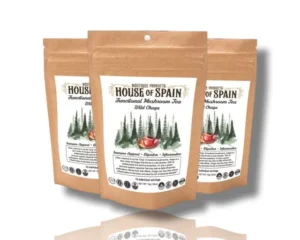 Functional_Mushroom_tea_WILD_CHAGA