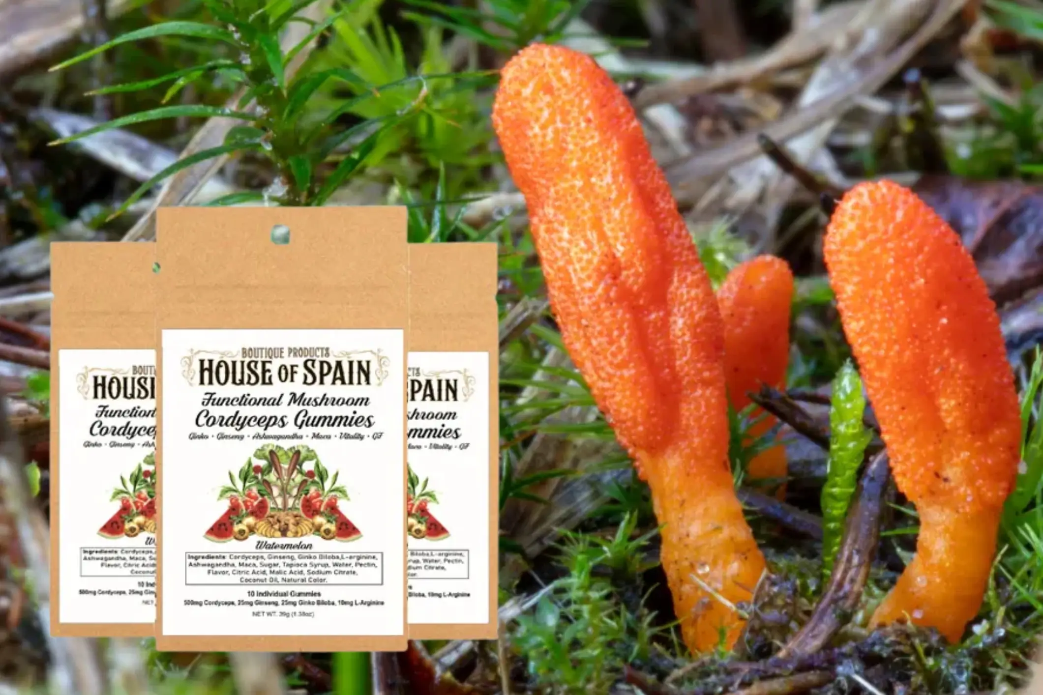 Functional Mushroom Gummy Cordyceps