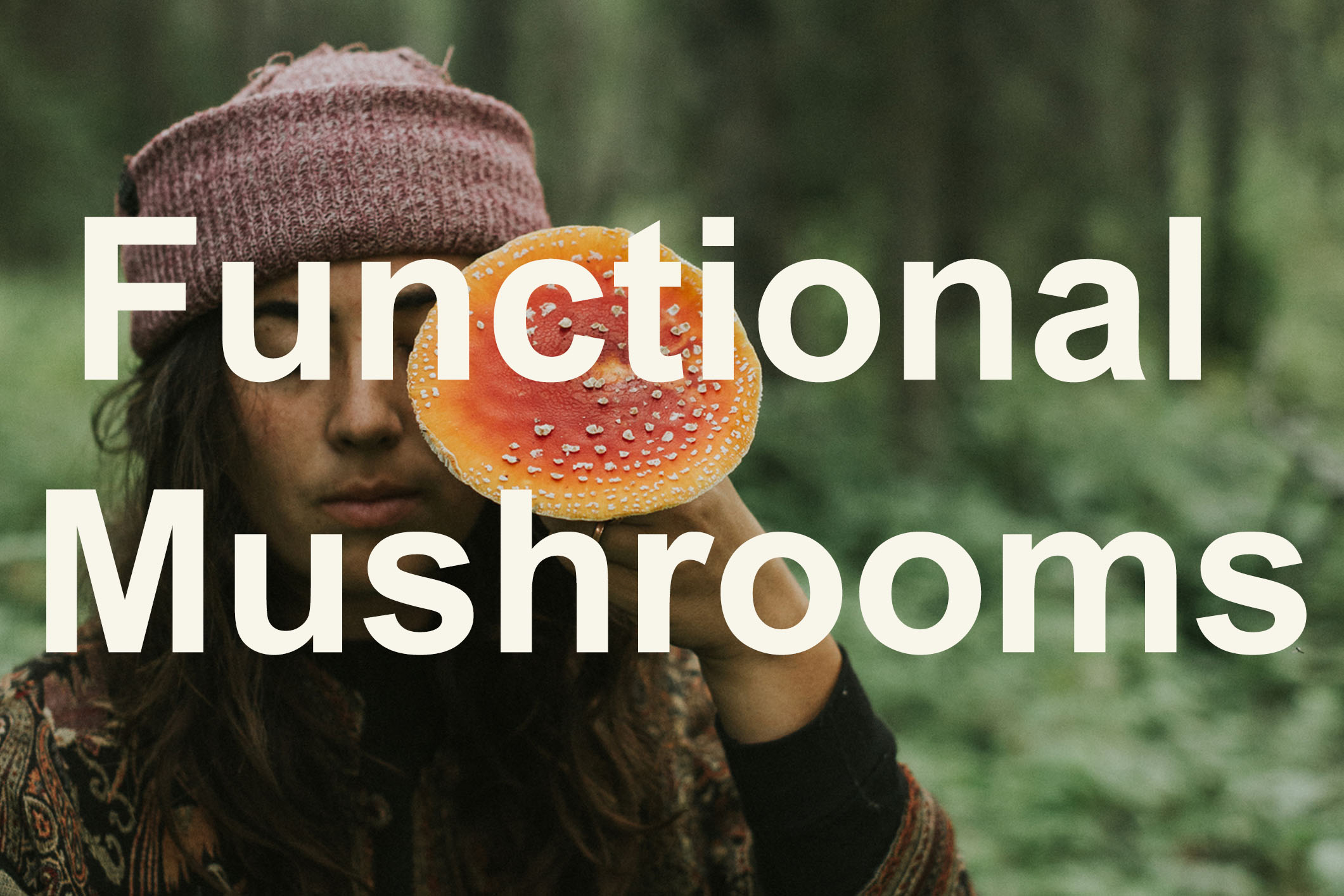 Functional Mushrooms